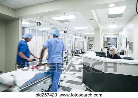 Stock Image - Doctors pushing patient in hospital gurney. Fotosearch
