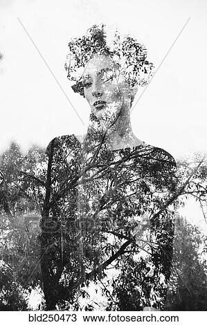 Double exposure of Middle Eastern woman and tree branches View Large Photo Image Stock Image - Double exposure of Middle Eastern woman and tree branches. Fotosearch