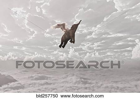 Elephant flying in clouds View Large Photo Image Stock Image - Elephant flying in clouds. Fotosearch