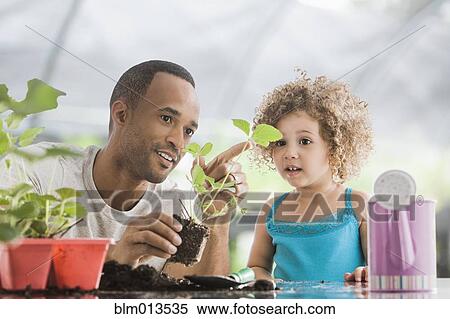 Father and daughter gardening together View Large Photo Image Stock Photography - Father and daughter gardening together. Fotosearch