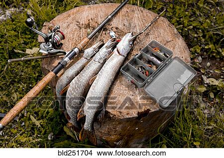 Picture - Fish and fishing rod on tree stump. Fotosearch