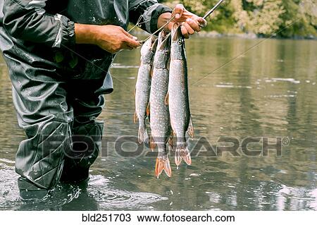 Fisherman holding fish View Large Photo Image Stock Image - Fisherman holding fish. Fotosearch