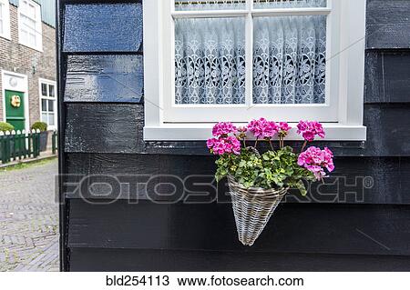 Flowers in basket under window View Large Photo Image Stock Image - Flowers in basket under window. Fotosearch