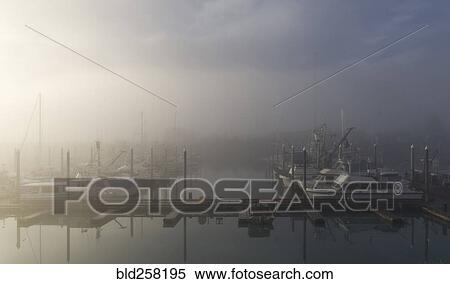 Fog at boat harbor View Large Photo Image Stock Photography - Fog at boat harbor. Fotosearch