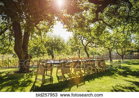 Folded chairs leaning on table in backyard View Large Photo Image Stock Image - Folded chairs leaning on table in backyard. Fotosearch