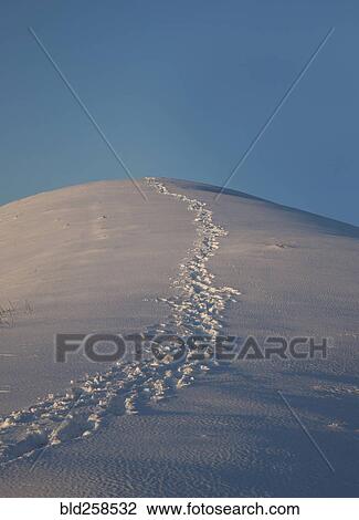 Stock Image - Foot1ints in snow on hill. Fotosearch