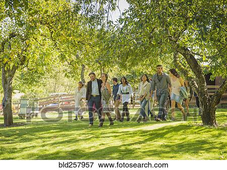 Stock Photo - Friends walking grass under trees. Fotosearch