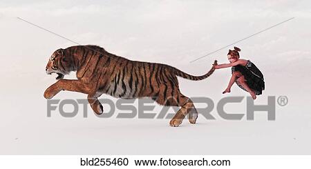 Girl holding tiger by the tail View Large Photo Image Stock Image - Girl holding tiger by the tail. Fotosearch