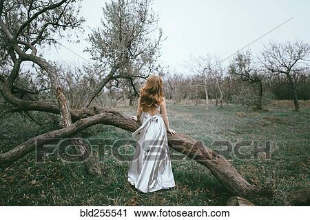 Glamorous location woman standing near fallen tree View Large Photo Image Stock Image - Glamorous location woman standing near fallen tree. Fotosearch