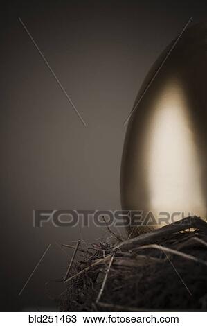 Golden egg in nest View Large Photo Image Stock Image - Golden egg in nest. Fotosearch