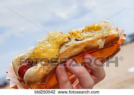 Hand holding hot dog with mustard and sauerkraut View Large Photo Image Stock Image - Hand holding hot dog with mustard and sauerkraut. Fotosearch