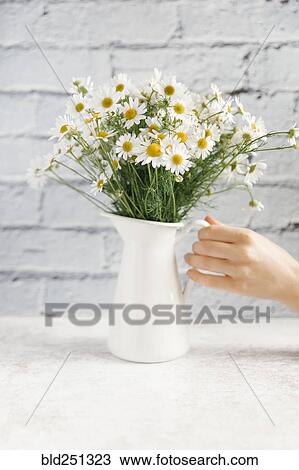 Hand holding vase of flowers View Large Photo Image Stock Image - Hand holding vase of flowers. Fotosearch