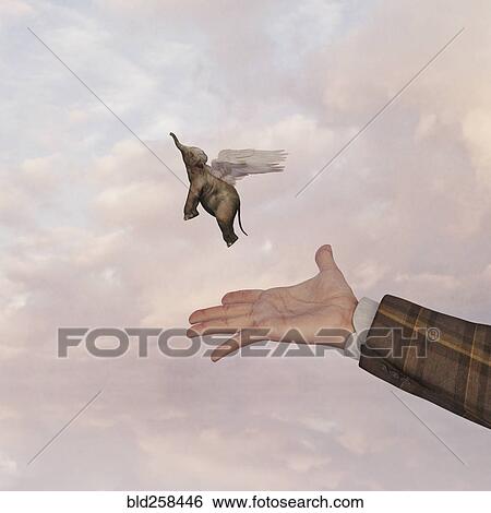 Hand of man releasing flying baby elephant View Large Photo Image Stock Photograph - Hand of man releasing flying baby elephant. Fotosearch