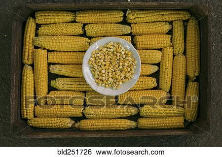 Stock Photograph - Kernels of corn in bowl on box of corn on cob. Fotosearch