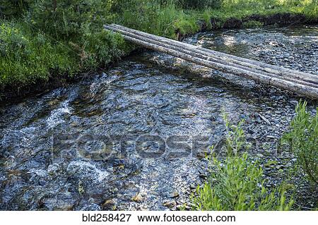 Stock Photo - Logs forming bridge crossing river. Fotosearch