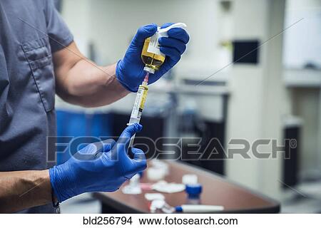 Picture - Mixed race nurse wearing rubber-gloves holding medicine and needle. Fotosearch