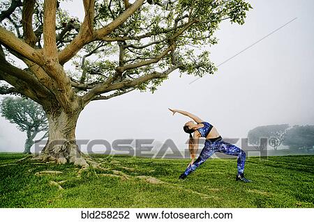 Mixed race woman exercising and stretching near tree View Large Photo Image Stock Image - Mixed race woman exercising and stretching near tree. Fotosearch
