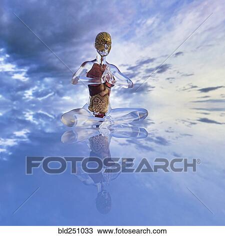 Stock Image - Organs of transparent woman meditating in cloudy sky. Fotosearch