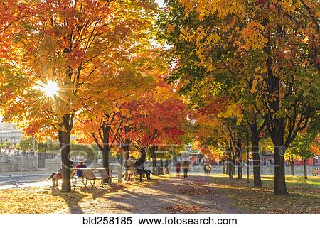 People in park in autumn View Large Photo Image Stock Photography - People in park in autumn. Fotosearch