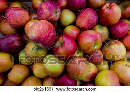 Stock Image - Pile of apples. Fotosearch