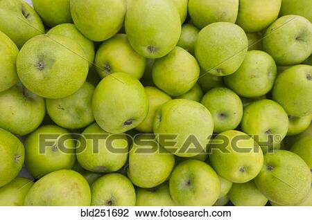 Stock Image - Pile of green apples. Fotosearch