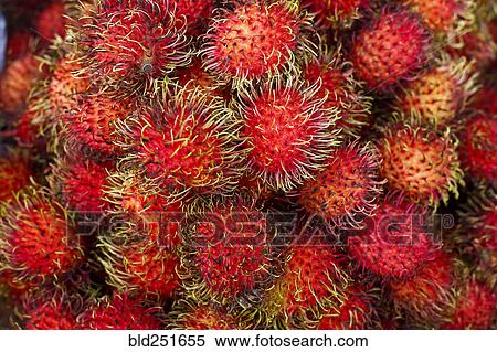 Pile of red spiny fruit View Large Photo Image Stock Photography - Pile of red spiny fruit. Fotosearch