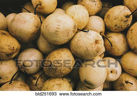 Stock Image - Pile of yellow pears. Fotosearch
