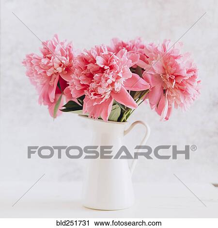 Pink flowers in vase View Large Photo Image Stock Image - Pink flowers in vase. Fotosearch