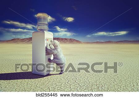 Polar bear climbing water cooler in desert View Large Photo Image Stock Photography - Polar bear climbing water cooler in desert. Fotosearch