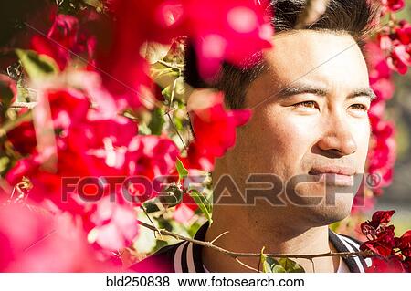 Stock Photo - Portrait of smiling Chinese man near flowering tree. Fotosearch