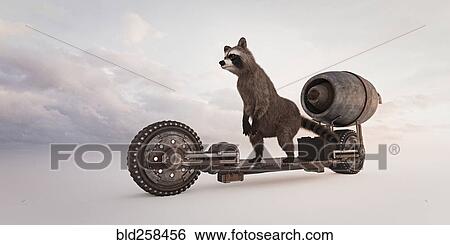 Stock Photograph - Raccoon riding futuristic skateboard. Fotosearch