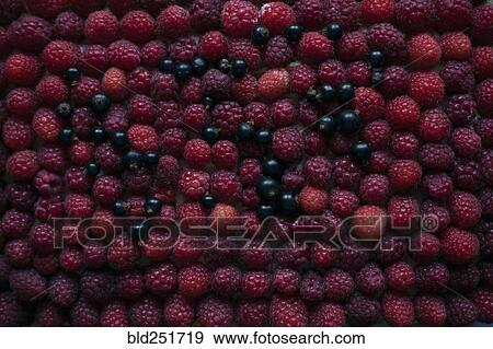 Stock Photo - Raspberries and blueberries. Fotosearch