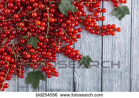 Stock Photograph - Red berries and leaves on table. Fotosearch