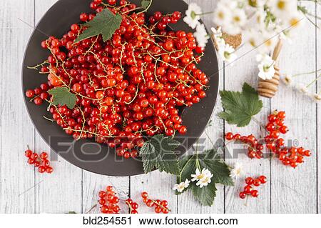 Red berries and leaves on table with flowers View Large Photo Image Stock Image - Red berries and leaves on table with flowers. Fotosearch