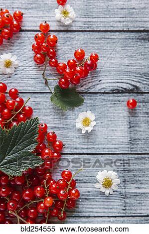 Stock Photography - Red berries and leaves on table with flowers. Fotosearch