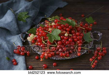 Red berries and leaves on tray View Large Photo Image Stock Image - Red berries and leaves on tray. Fotosearch