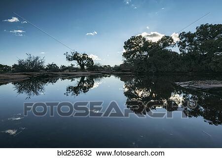 Stock Image - Reflection of trees and blue sky in still lake. Fotosearch