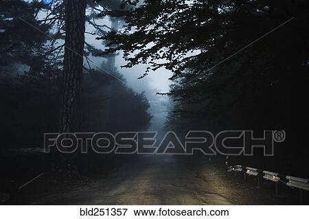 Stock Photo - Road in forest. Fotosearch