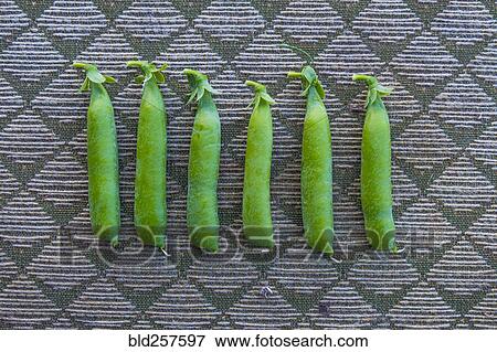 Row of pea pods View Large Photo Image Stock Photo - Row of pea pods. Fotosearch