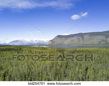 Stock Image - Scenic view of trees and river near mountain. Fotosearch