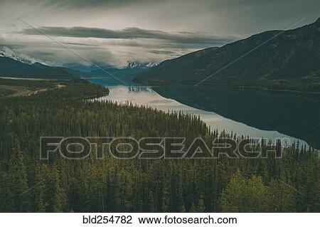 Stock Image - Scenic view of trees and river. Fotosearch