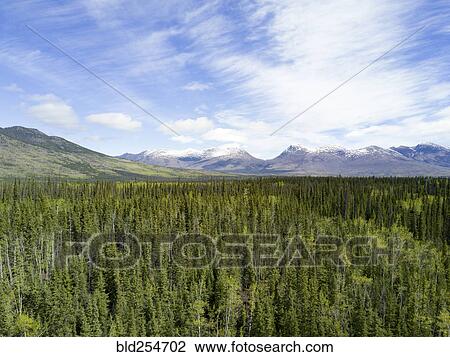 Stock Image - Scenic view of trees near mountain. Fotosearch