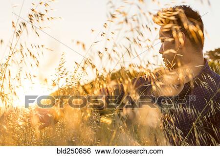 Serious Chinese man sitting in field of wheat View Large Photo Image Stock Photograph - Serious Chinese man sitting in field of wheat. Fotosearch