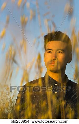 Serious Chinese man standing in wheat View Large Photo Image Picture - Serious Chinese man standing in wheat. Fotosearch