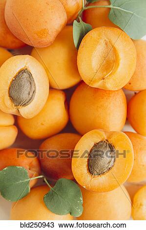 Sliced apricots View Large Photo Image Stock Image - Sliced apricots. Fotosearch