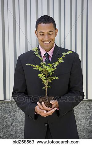 Smiling mixed race businessman holding seedling View Large Photo Image Stock Image - Smiling mixed race businessman holding seedling. Fotosearch