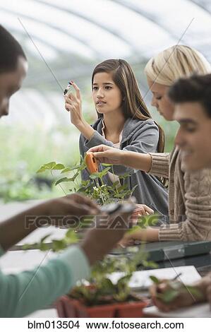 Picture - Students working in greenhouse. Fotosearch