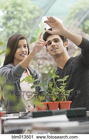 Stock Image - Students working in greenhouse. Fotosearch