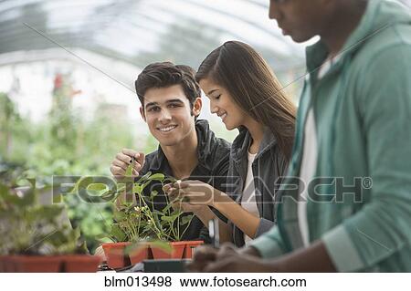 Students working in greenhouse View Large Photo Image Stock Photo - Students working in greenhouse. Fotosearch