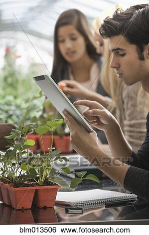 Stock Photograph - Students working in greenhouse with digital tablet. Fotosearch
